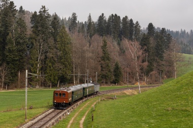 Der Te 2/3 Halbesel des VHE ist mit seinem schmucken Zug am 14.04.19 zwischen Gammenthal und Sumiswald-Grünen unterwegs. Foto : Julian Brückel