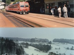 Sumiswald-Gruenen.2-2